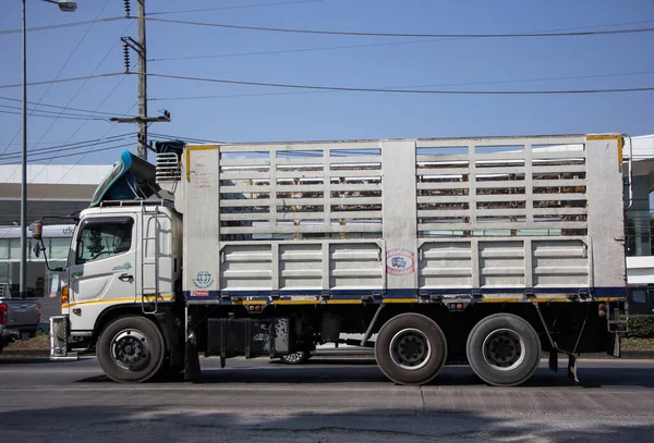 Chiangmai, Tayland - 22 Aralık 2021: Er Hino Kargo Truck. Fotoğraf 1001 nolu yolda, Chiangmai, Tayland 'a 8 km uzaklıkta..