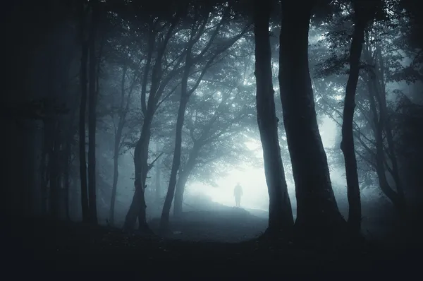 Sombra escabulléndose en el bosque — Foto de Stock