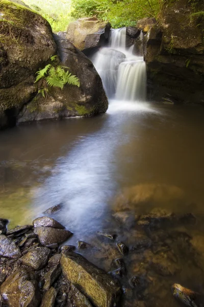 Waterval in een kleurrijke forest — Stockfoto