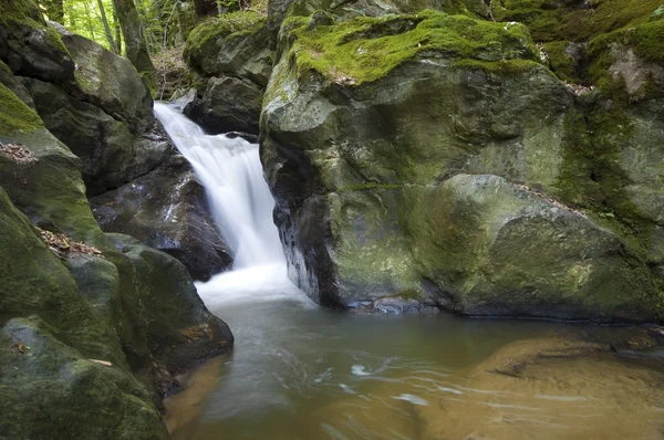 Waterval in een bos — Stockfoto