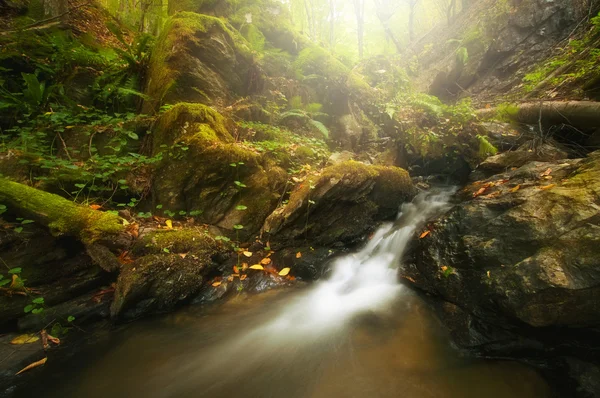 Beautiful waterfall in autumn — Stock Photo, Image