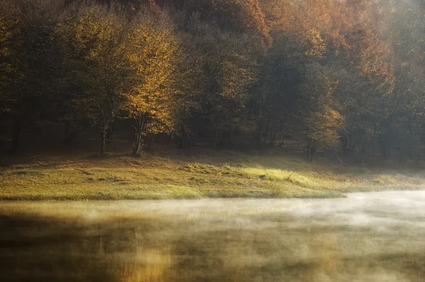 Lago com nevoeiro no outono perto de uma floresta — Fotografia de Stock