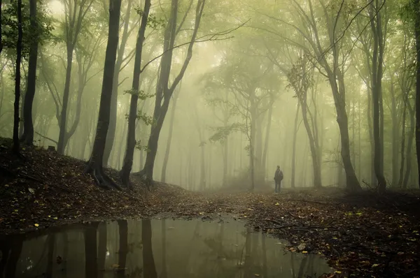 Lac dans une forêt effrayante avec brouillard et homme — Photo