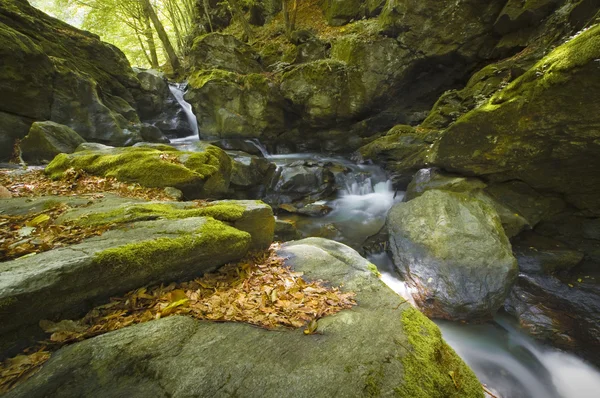 Cascada en el río rocoso en las montañas —  Fotos de Stock