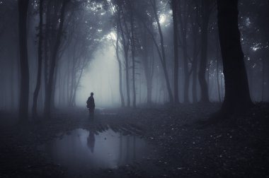 Man on edge of lake in a dark forest with fog clipart