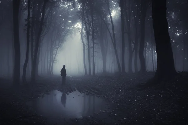 Az ember egy sötét erdőben köd tó szélén — Stock Fotó
