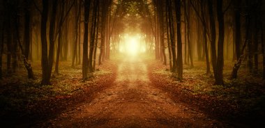 Road in symmetrical forest with fog at sunrise clipart