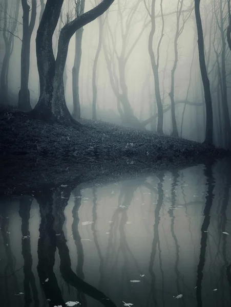 Lago in una misteriosa foresta buia con nebbia ad Halloween — Foto Stock