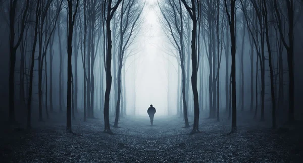 Hombre caminando en un misterioso bosque surrealista con niebla