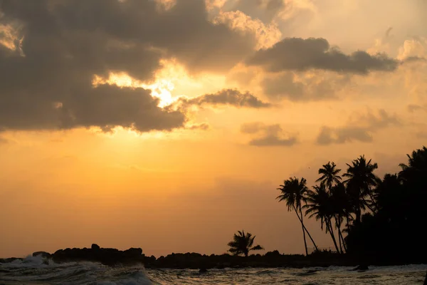 Donkere silhouetten van palmbomen en verbazingwekkende bewolkte lucht bij zonsondergang op Sri Lanka. — Stockfoto