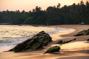 Sri Lanka 'da, Matara yakınlarındaki sahilde el sallıyor ve sıçrıyor..