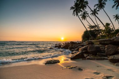 Hindistan cevizi palmiyeleriyle sahilde güzel bir gün batımı. Sri-Lanka adaları.