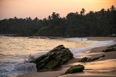 Hindistan cevizi ağaçlarıyla kumsalda gün batımı. Sri Lanka 'nın mükemmel arka plan adası.
