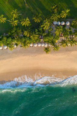 Palmiye ağaçlarının havadan görünüşü, Hint Oken kıyı şeridi ve bungalovlar. Sri Lanka Adası