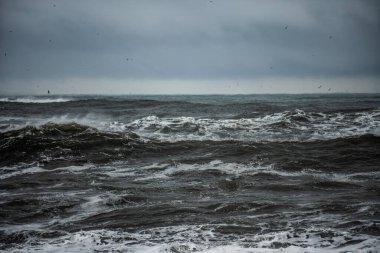İzlanda 'nın güney kıyısındaki ünlü Reynisfjara kayaları yakınlarındaki kara volkanik sahilde şiddetli dalgalar.