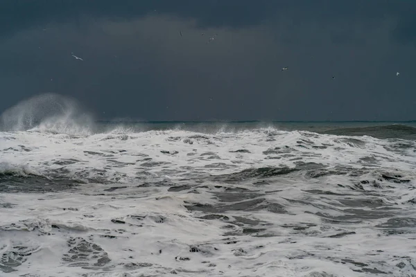 Stormachtige golven op zwart vulkanisch strand bij de beroemde Reynisfjara rotsen aan de zuidkust van IJsland — Stockfoto