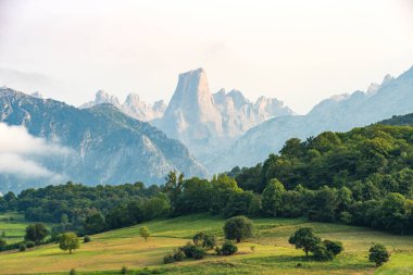 Asturias, İspanya 'da Picu Urriellu olarak bilinen Naranjo de Bulnes.