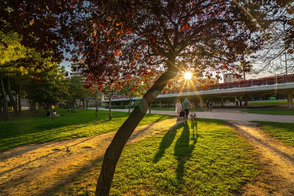 Lidé chodí na teplý jarní večer při západu slunce v Turia park. Valencia. — Stock fotografie