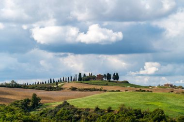 Dalgalı manzaralı, tarlalı, selvi ve bulutlu Tuscany 'de sonbahar gündoğumu. İtalya