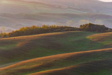 Gündoğumunda, Tuscany, İtalya, Avrupa 'da, sonbahar sabahı manzarası