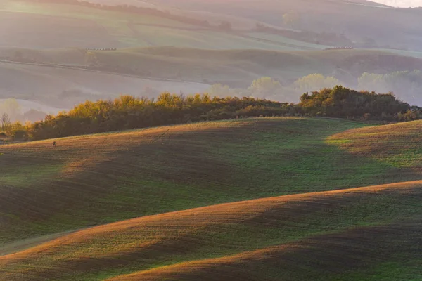 意大利托斯卡纳，日出时美丽的秋天早晨风景 — 图库照片
