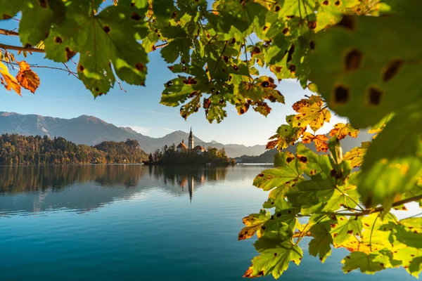 A híres alpesi tó Bled, Blejsko jezero, Szlovéniában, őszi táj. Mesés kilátás nyílik a tóra, sziget templommal, Bled kastély, hegyek és kék ég felhőkkel, háttér a friss levegőn. — Stock Fotó