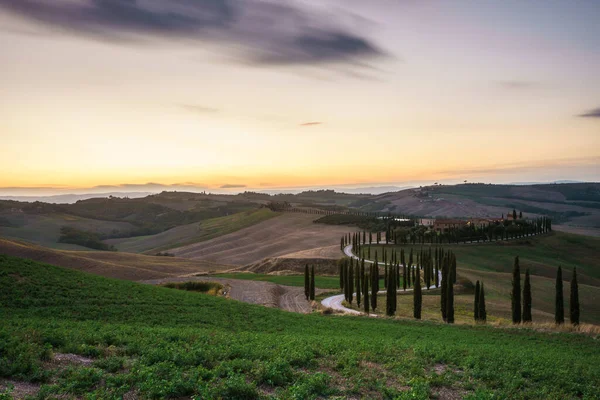 Toscana, paisaje rural al atardecer. Granja rural, cipreses, campo verde, sol y nubes. Italia, Europa. —  Fotos de Stock