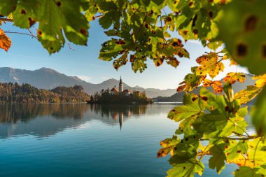 Slovenya 'daki ünlü Alp Gölü Bled, Blejsko jezero, sonbahar manzarası. Gölün muhteşem manzarası, kiliseli ada, Kanlı Kale, dağlar ve bulutlu mavi gökyüzü, temiz havada zemin.