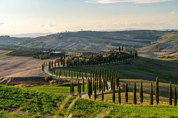 Znany toskański krajobraz z polami zbożowymi, cyprysami i domami na wzgórzach o zachodzie słońca. Jesienny krajobraz wiejski z krętą drogą w Toskanii, Włochy, Europa. Obrazek Stockowy