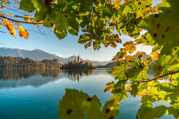 O famoso Lago Alpino Bled, Blejsko jezero, na Eslovênia, uma paisagem de outono. Fabulosa vista do lago, ilha com igreja, Castelo de Bled, montanhas e céu azul com nuvens, pano de fundo no ar fresco. — Fotografia de Stock
