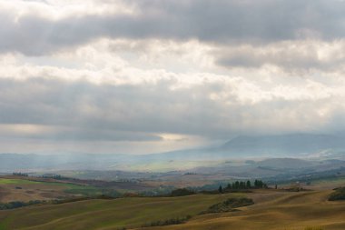 Doğal güneşli manzara. Sabahları dalgalı tarlalar, Toskana, İtalya, Avrupa.