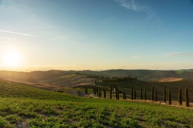 Tanınmış bir Toskana manzarası tahıl tarlaları, selvi ağaçları ve gün batımında tepelerde evler. Tuscany, İtalya ve Avrupa 'da dolambaçlı yolu olan sonbahar kırsal arazisi.