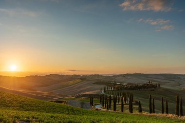 Tanınmış bir Toskana manzarası tahıl tarlaları, selvi ağaçları ve gün batımında tepelerde evler. Tuscany, İtalya ve Avrupa 'da dolambaçlı yolu olan sonbahar kırsal arazisi.