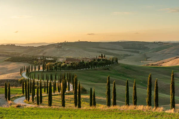 Tanınmış bir Toskana manzarası tahıl tarlaları, selvi ağaçları ve gün batımında tepelerde evler. Tuscany, İtalya ve Avrupa 'da dolambaçlı yolu olan sonbahar kırsal arazisi.
