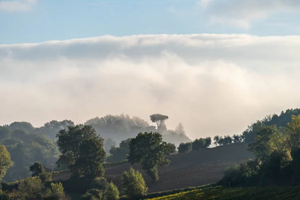 Волшебный контур тумана в утреннем пейзаже, сельской местности Тосканы, Италии, Европы — стоковое фото