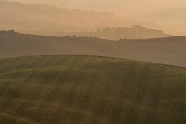 Тусканська сільська місцевість - італійський пейзаж, що відбувся рано вранці. Італія — стокове фото