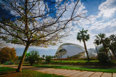 Güneşli ve sıcak gün Park Turia Valencia, İspanya