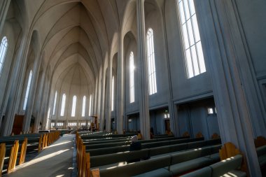 REYKJAVIK, ICELAND - 2 Nisan 2019 Uzun Sütunlar Organ Tavanı Hallgrimskirkja Büyük Lüterci Kilisesi Reykjavik İzlanda. İzlanda 'daki en büyük kilise ve en yüksek yapı.