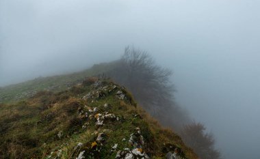 Gizemli Otzarreta Ormanı. Gorbea Doğal Parkı, Bask Ülkesi, İspanya.
