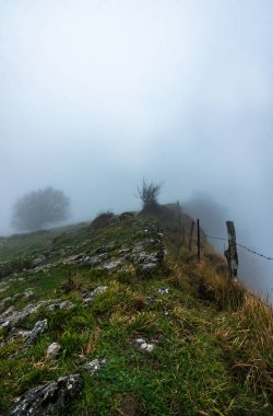 Gizemli Otzarreta Ormanı. Gorbea Doğal Parkı, Bask Ülkesi, İspanya.