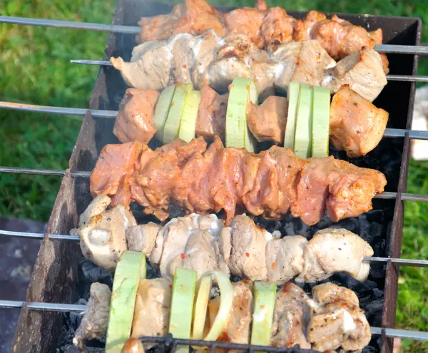 Tasty grill kebab on a charcoal with onion — Stock Photo, Image