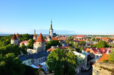 Red roofs and church of old Tallinn clipart