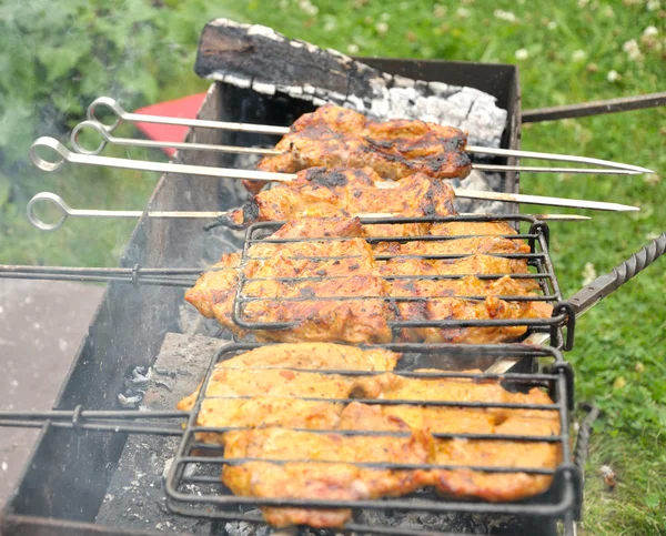 Sabroso kebab a la parrilla en un carbón — Foto de Stock