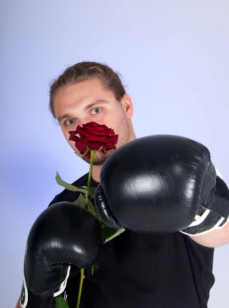 Homme en gants de boxe tenant une rose rouge — Photo