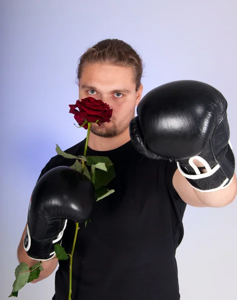 Homme en gants de boxe tenant une rose rouge — Photo