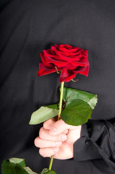Imagina a un hombre sosteniendo una rosa roja detrás de su espalda . — Foto de Stock