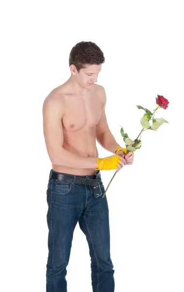 Zdravý muž nosí školení zábaly, držící růži na bílém pozadí — Stock fotografie