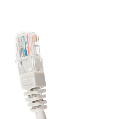 internet kablosu beyaz zemin üzerine izole makro
