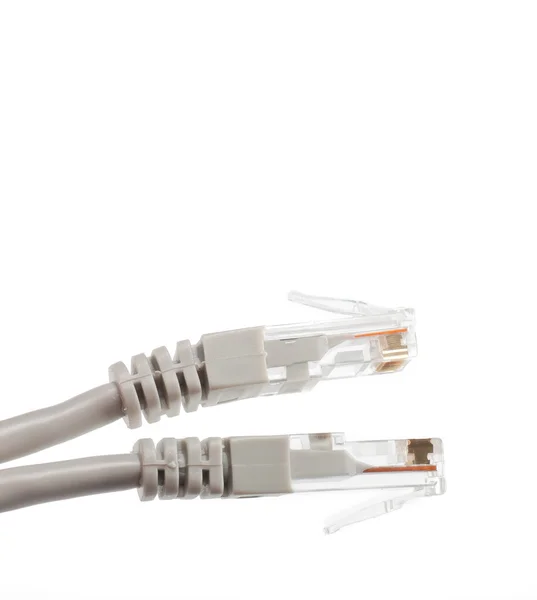 Macro de câble internet isolé sur fond blanc — Photo