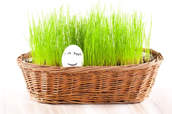 Funny smiling woman egg in basket with grass. sun bath. — Stock Photo, Image